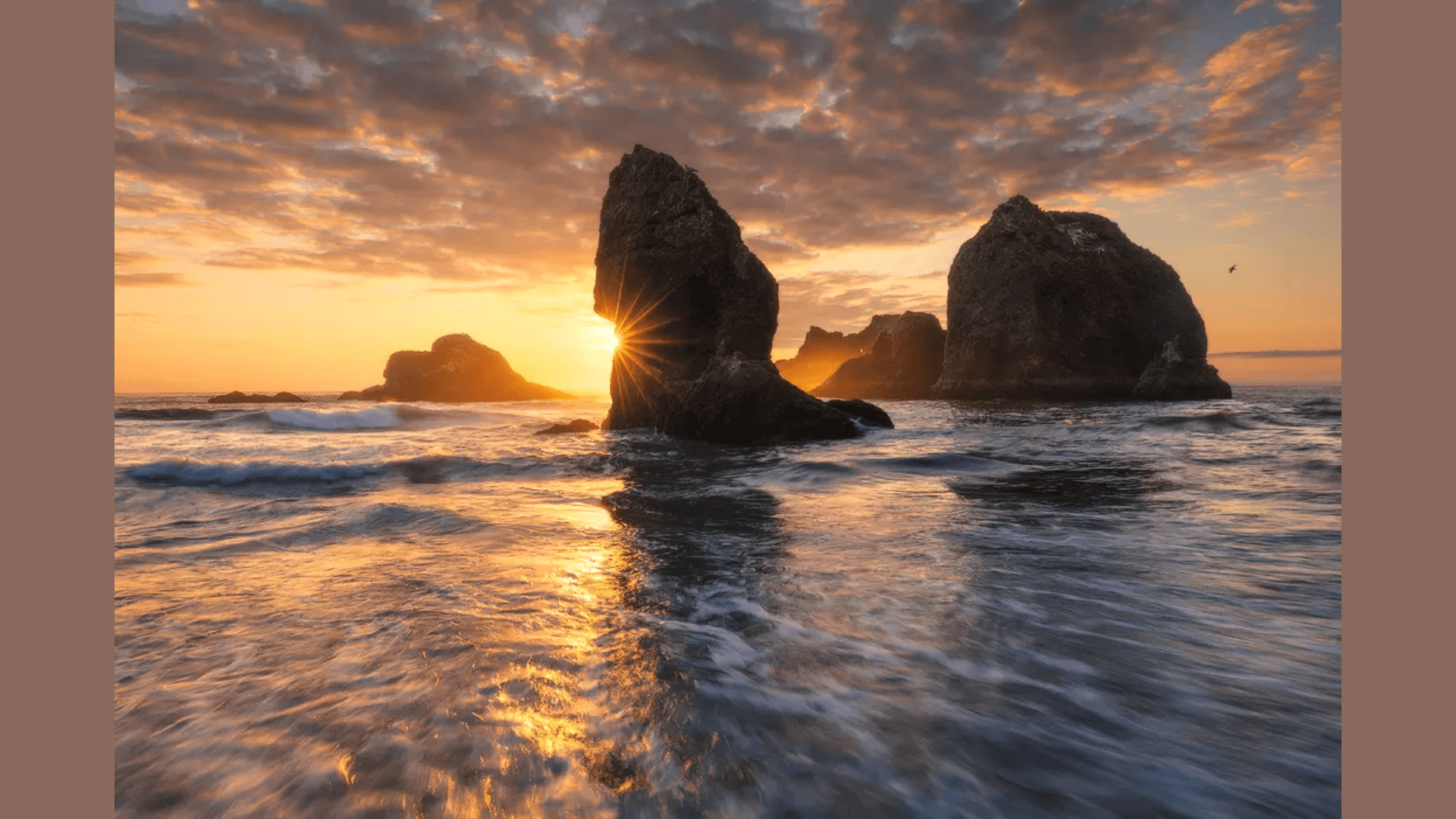 David_Thompson