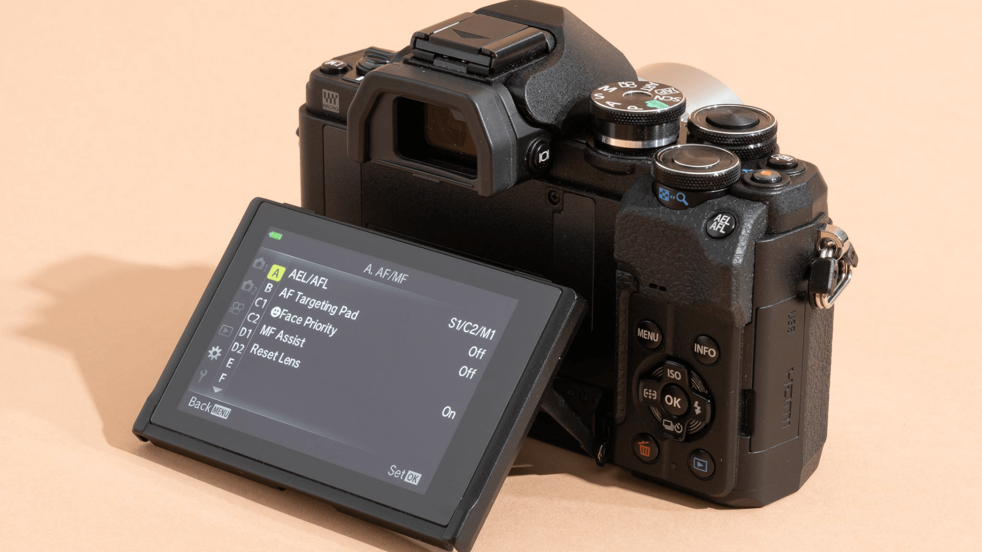 Mirrorless_Cameras