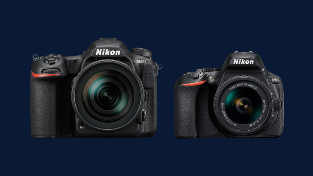 Nikon D500 Review and Performance