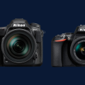 Nikon D500 Review and Performance