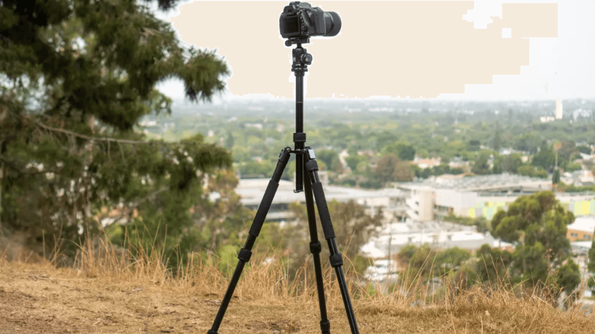 Photography_Tripods