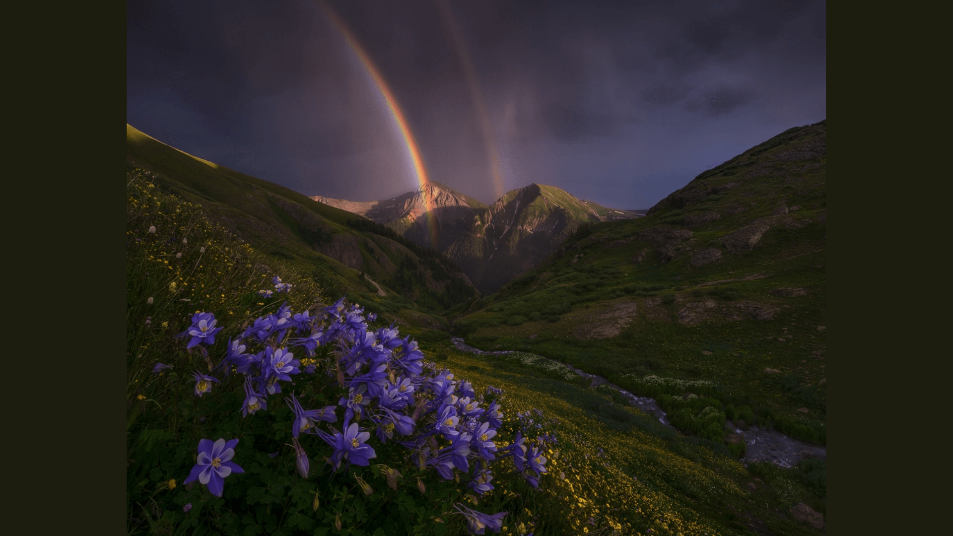 Ryan_Dyar