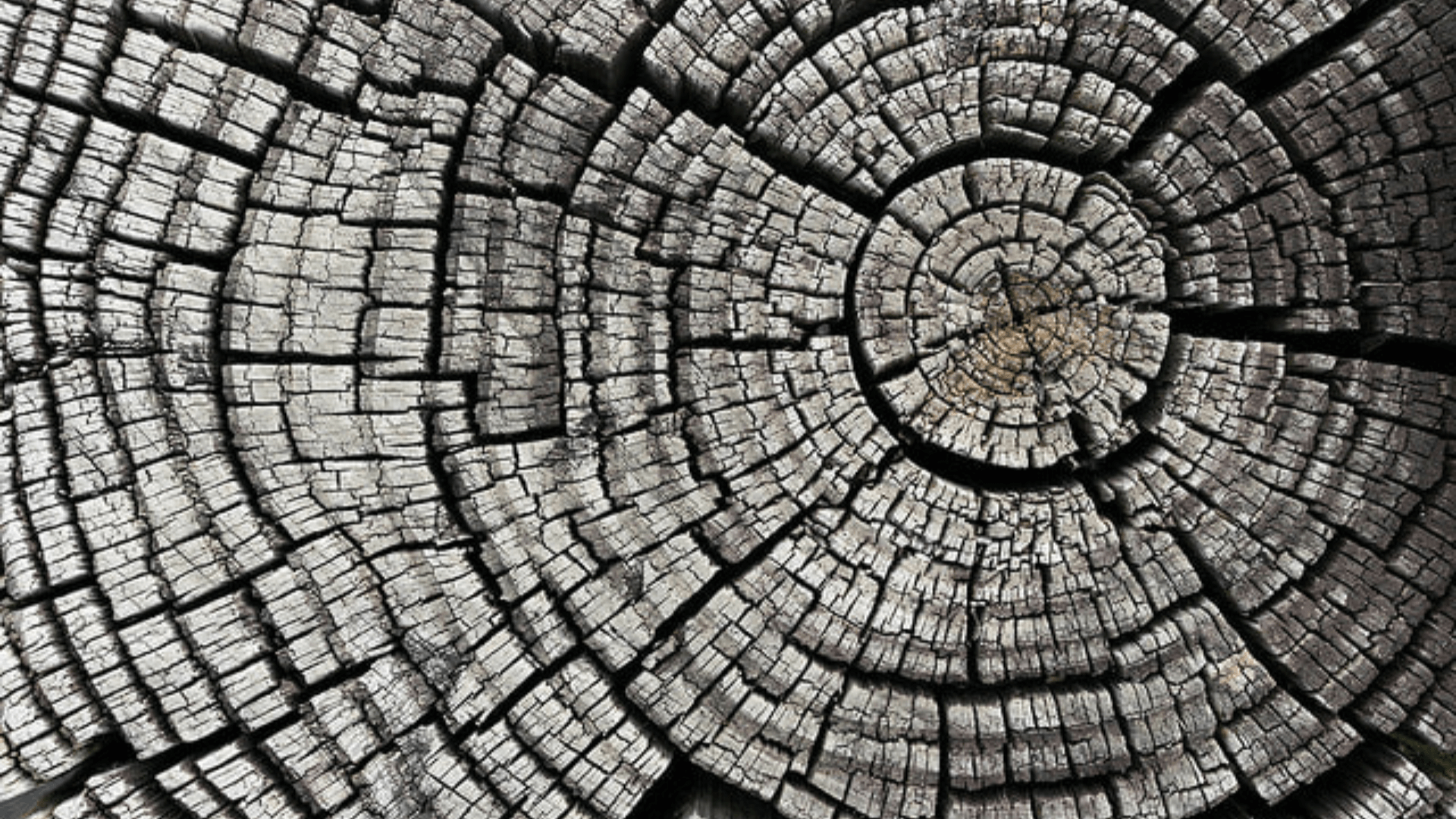 Texture