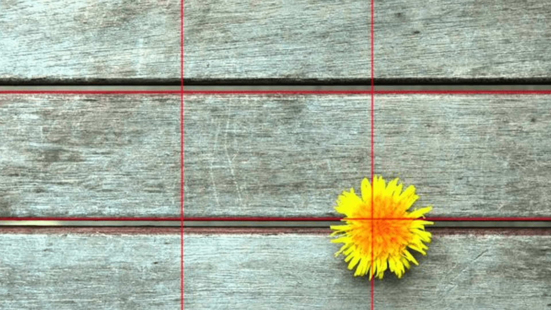 Understanding_Negative_Space_The_Important_Contrast