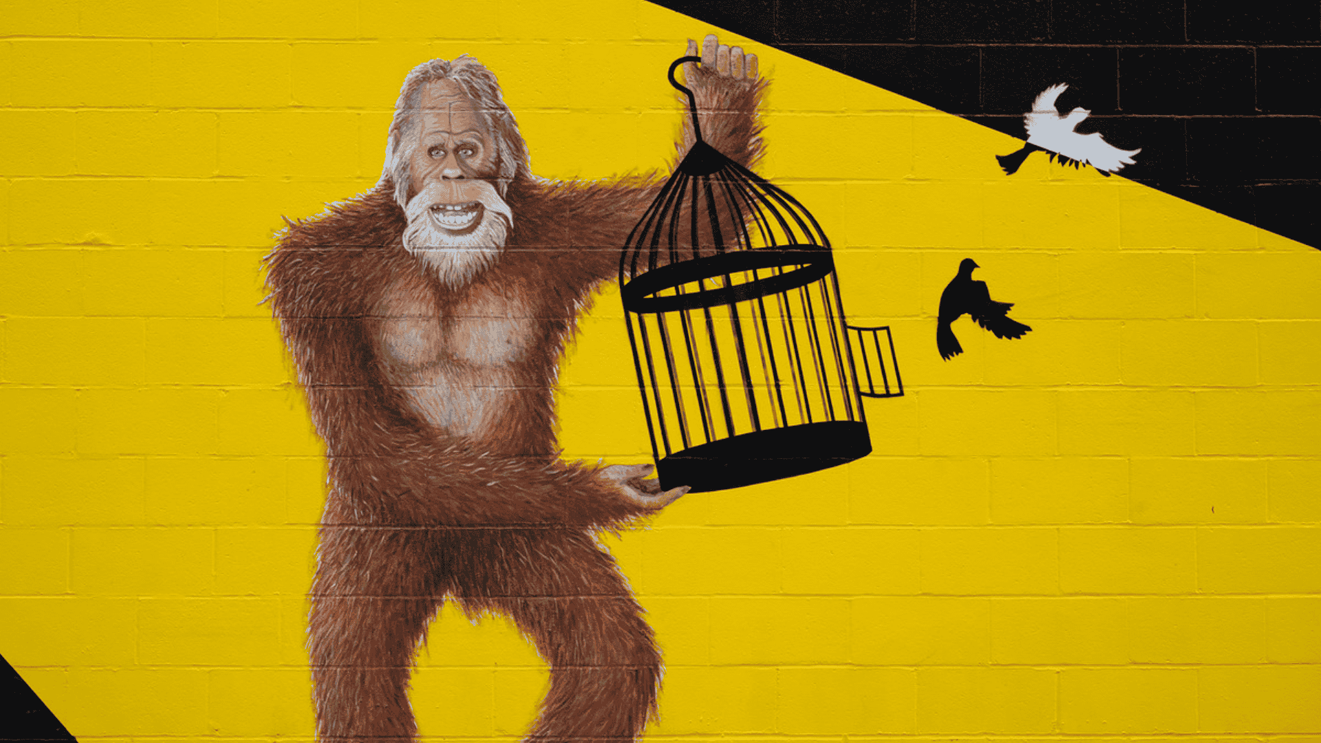 Wall_of_Whimsy
