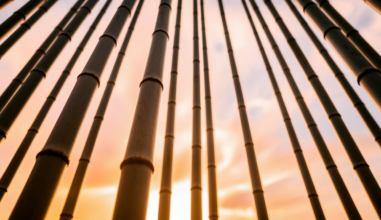 vertical lines photography