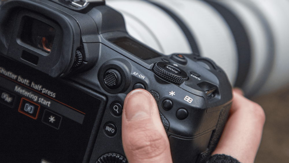what is back button focus