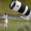 Sony 200-600mm Review : What Makes It a Wildlife Powerhouse