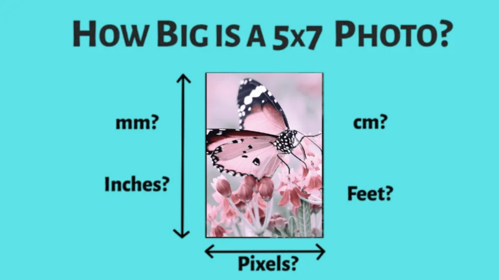 5x7 Photo Dimensions in Different Units
