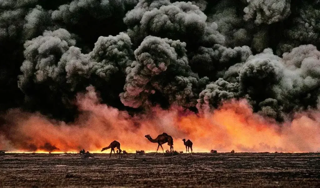 Camels Under a Blackened Sky