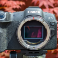 Reviewing Canon EOS R8: Features, Performance, and Quality