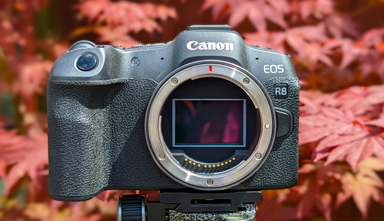 Reviewing Canon EOS R8: Features, Performance, and Quality