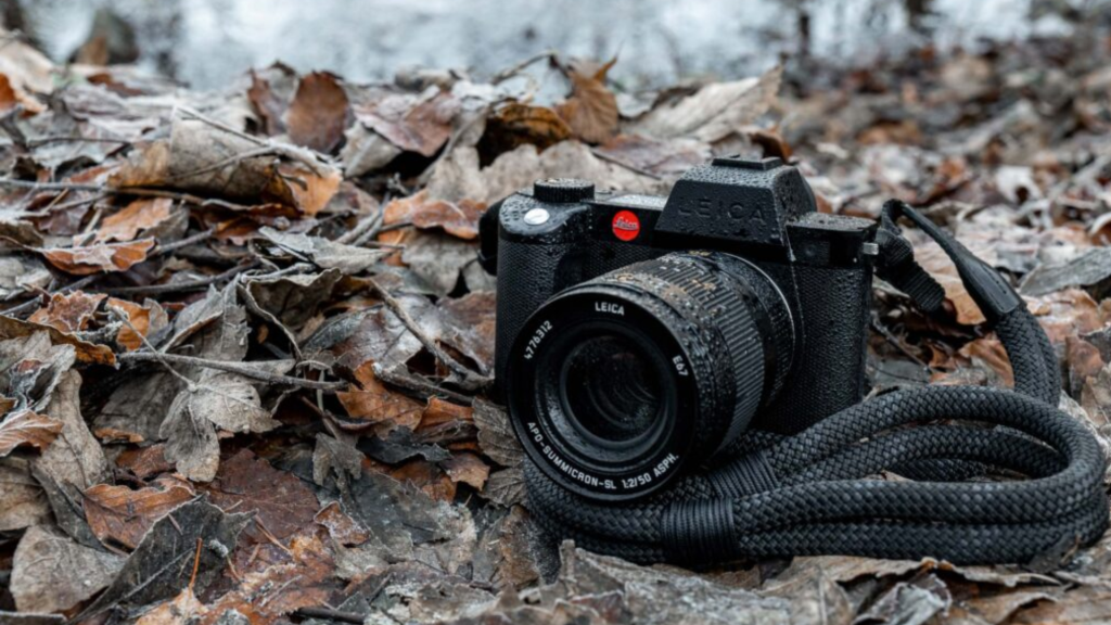 The Background of the Leica SL2