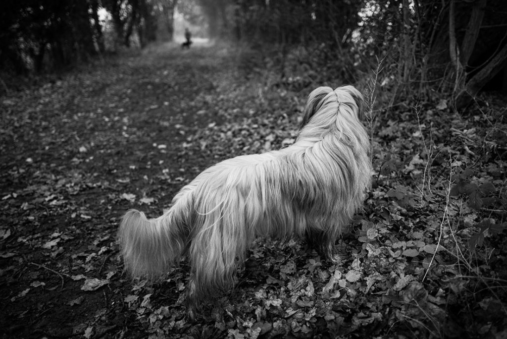 The Leica Q2 for Different Photography Styles